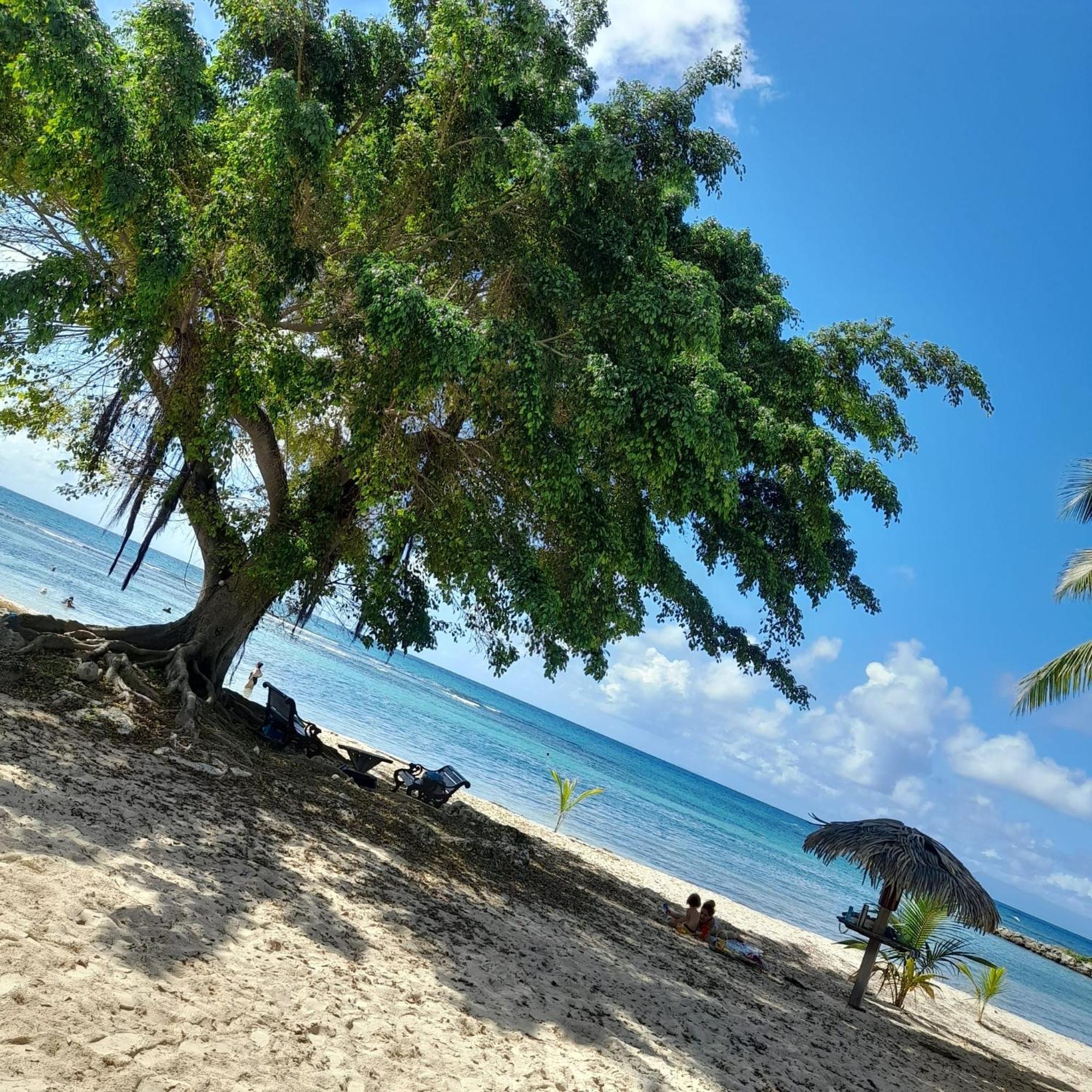 Appartement Bumbu 626 Anse Des Rochers Saint-Francois  Buitenkant foto